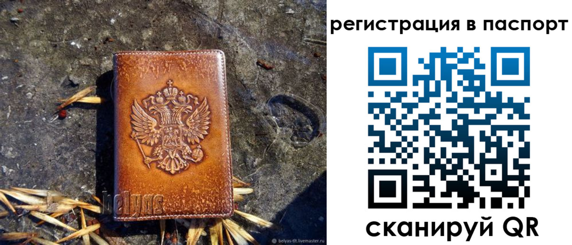 временная регистрация гарантия в Камышине