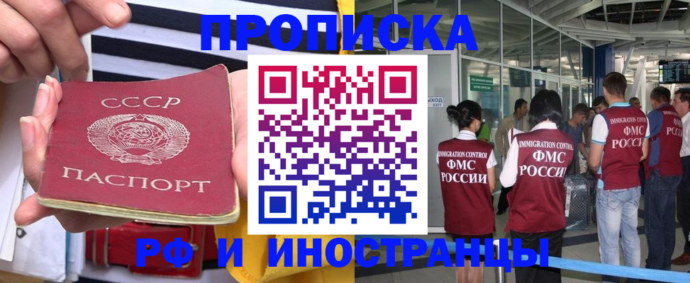 прописка 2025 в Камышине