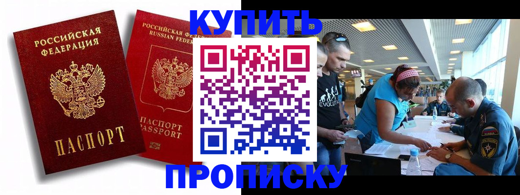 прописка паспорт в Камышине
